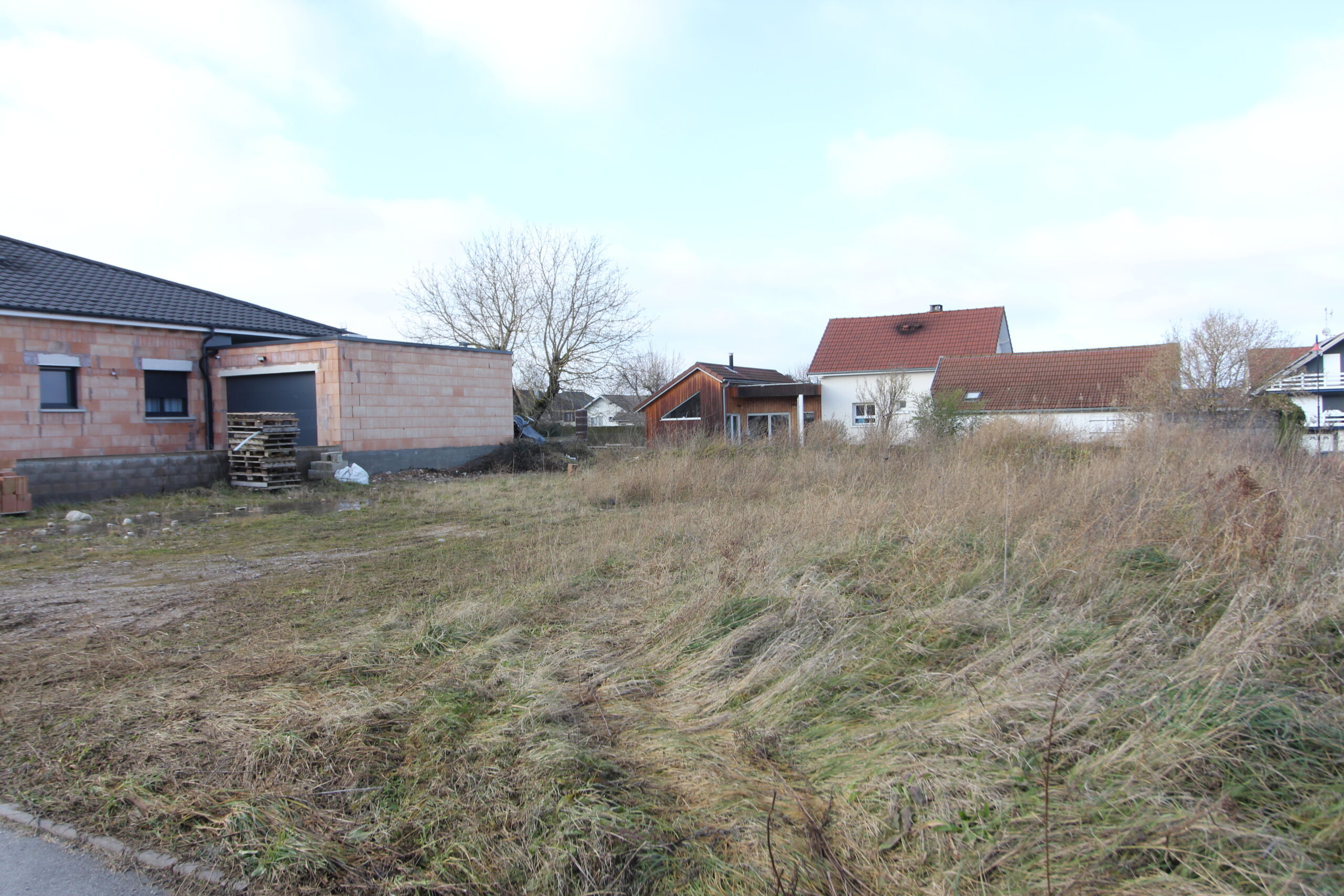 Terrain Mr Genay (2)