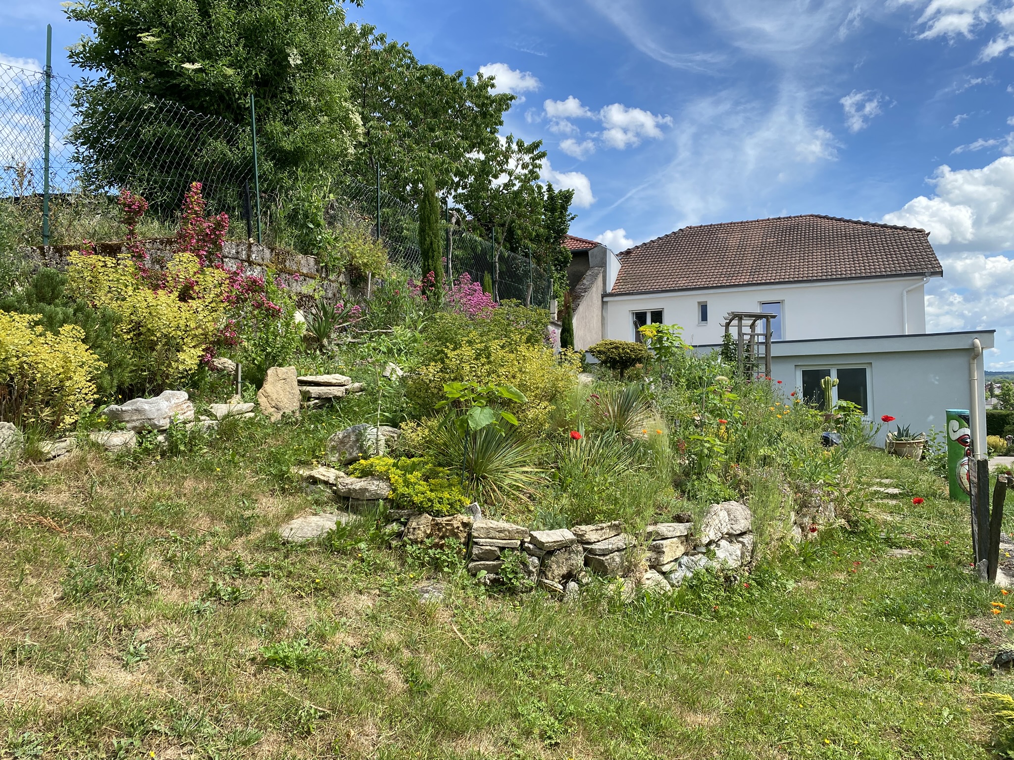 Extérieur (9)